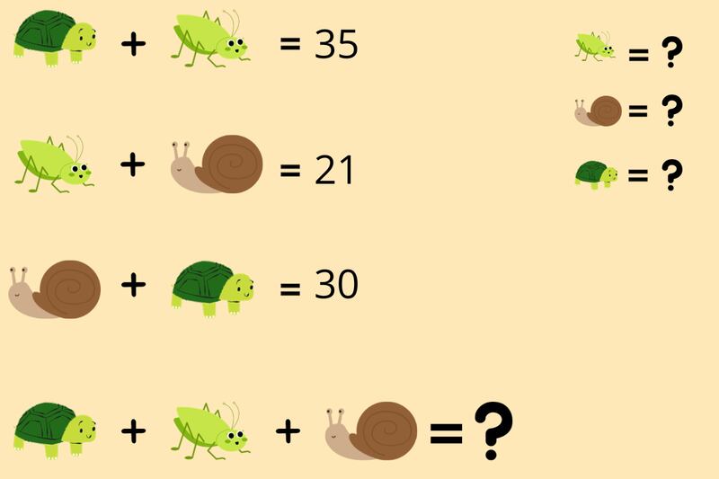 Ejercicio matemático con una tortuga, caracol e insecto.