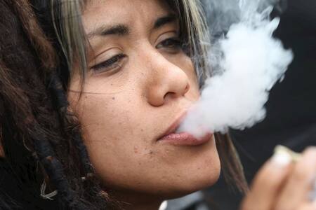Cannabis se usará para pacientes con enfermedades crónicas en Panamá