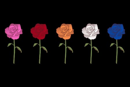 Test de personalidad: Si tuvieras que regalarte una rosa, ¿de qué color sería? 
