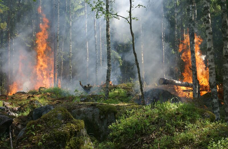 Incendios Forestales.