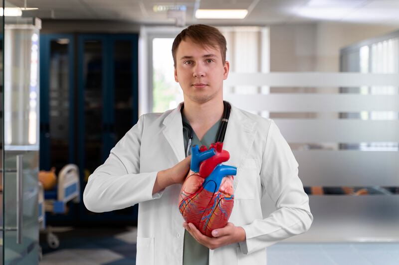 Doctor con una maqueta de corazón anatómico.