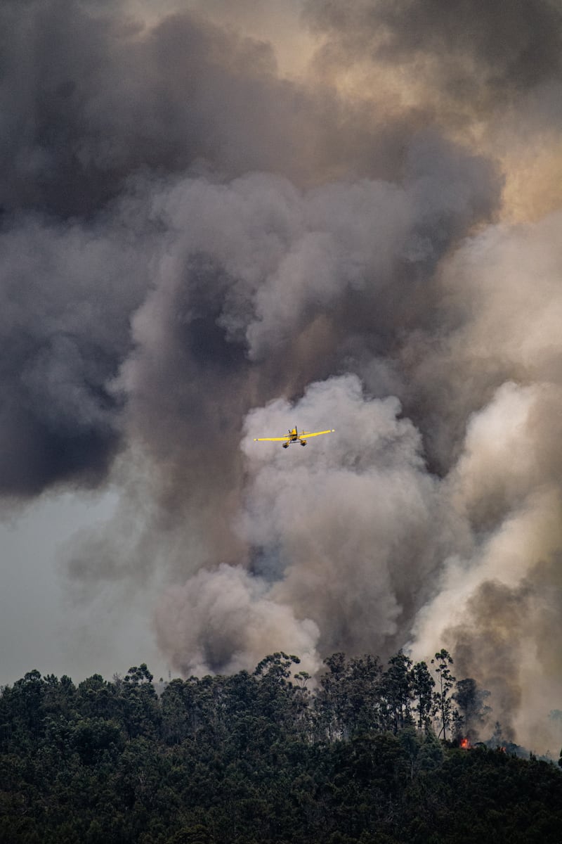 Incendios Forestales.