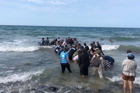 Ballena varada en Puerto Peñasco regresa al mar con apoyo de voluntarios y brigadistas